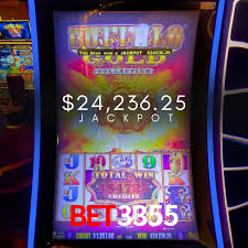 bet3355: A Experiência de Casino com Jogos de Mesa ao Vivo